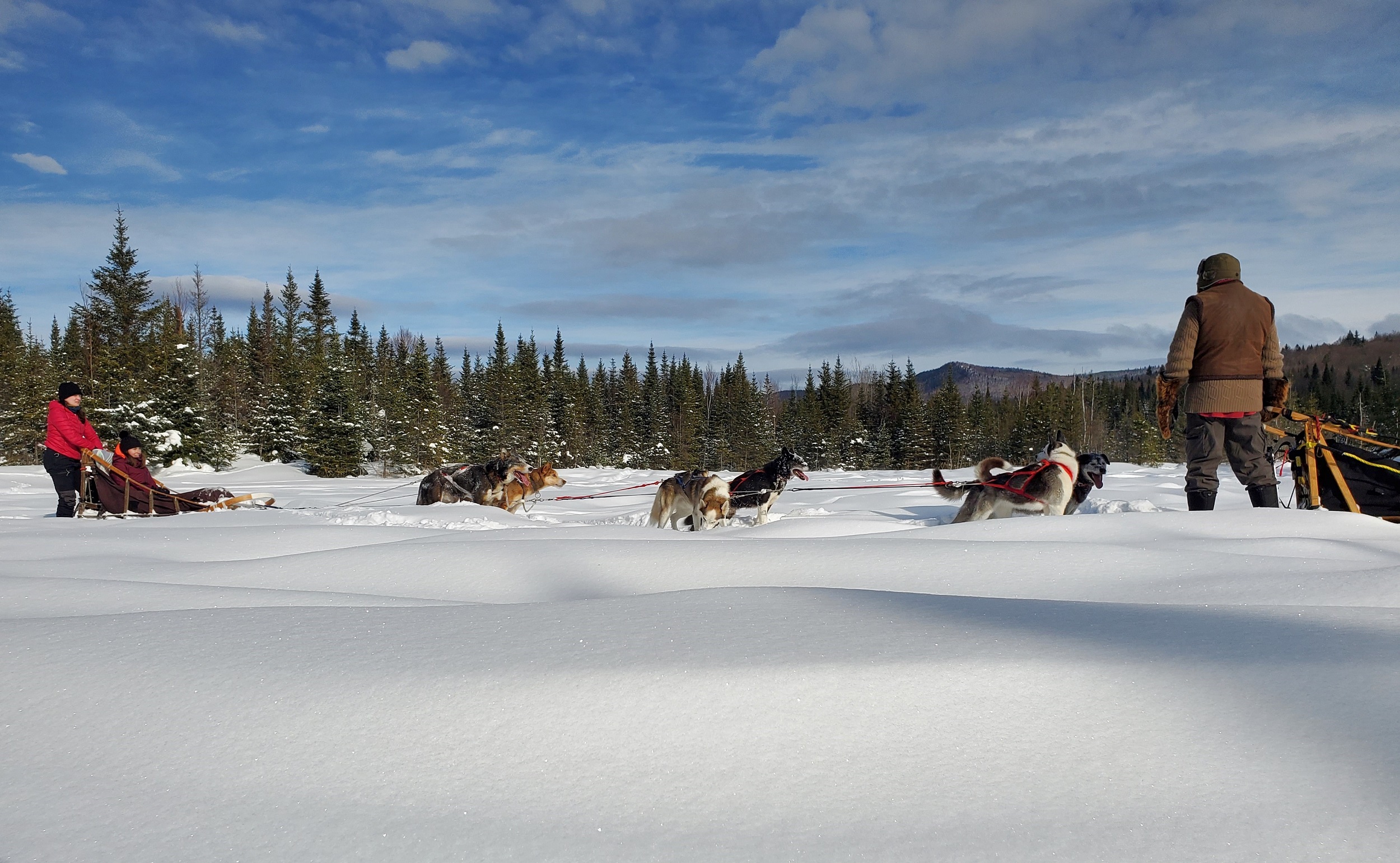 Dog Sledding in Montebello
